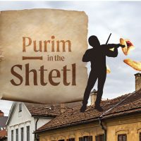 shtel-cover